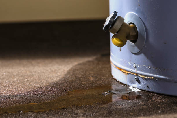 Best Water damage restoration company  in Mineral Springs, NC
