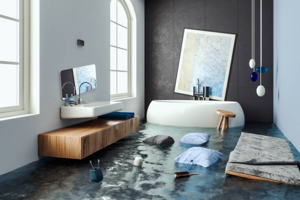 Best Water damage restoration near me  in Mineral Springs, NC