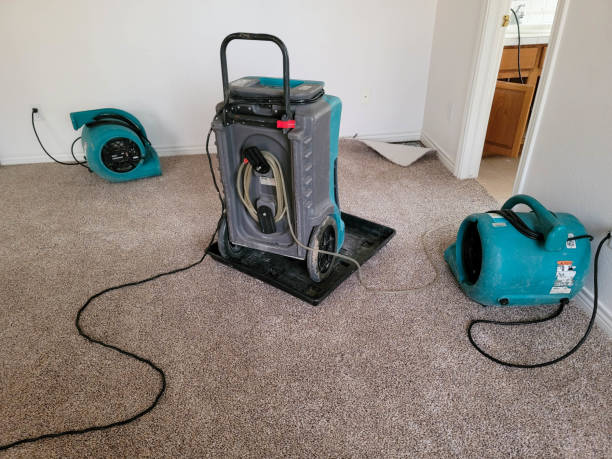 Best Residential water damage restoration  in Mineral Springs, NC