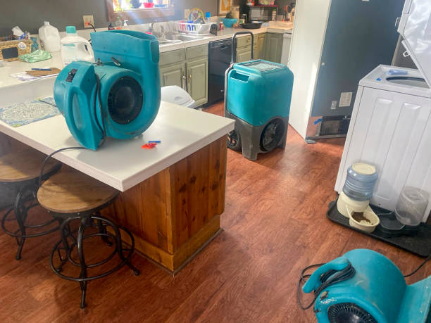 Best Mold removal after water damage  in Mineral Springs, NC