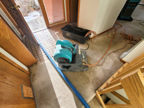 Best Water damage restoration near me  in Mineral Springs, NC