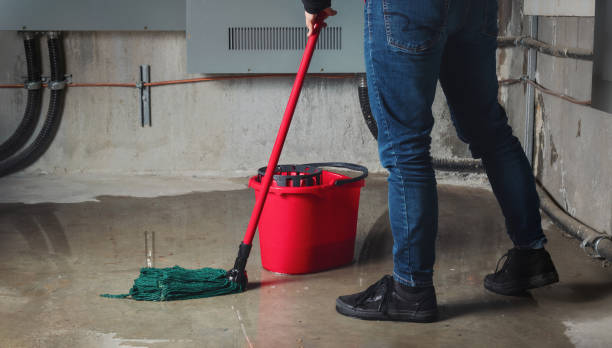 Best Local water damage restoration  in Mineral Springs, NC
