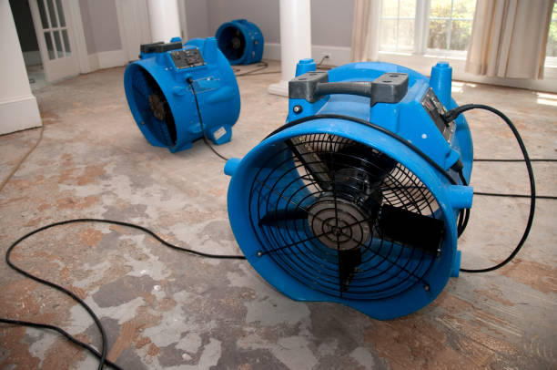 Best 24-hour water damage restoration  in Mineral Springs, NC
