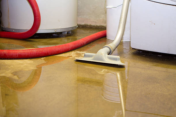 Best Water damage contractors near me  in Mineral Springs, NC