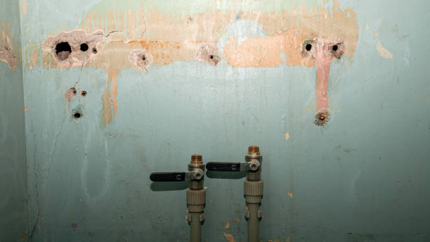 Best Professional water damage repair  in Mineral Springs, NC