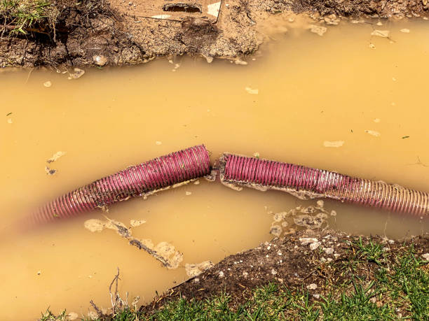 Best 24/7 water damage repair  in Mineral Springs, NC