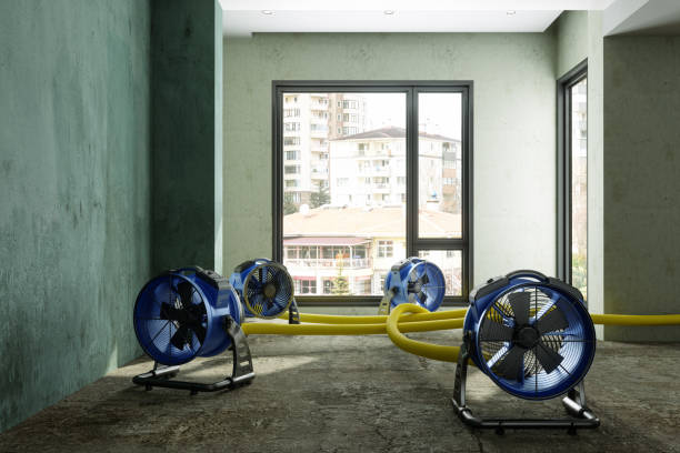 Best Fire Damage Restoration  in Mineral Springs, NC